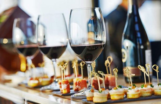 Premium Wine Tasting in Santiago de Chile