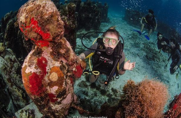 2 Tank Dives MUSA and Manchones reef (Certified divers)