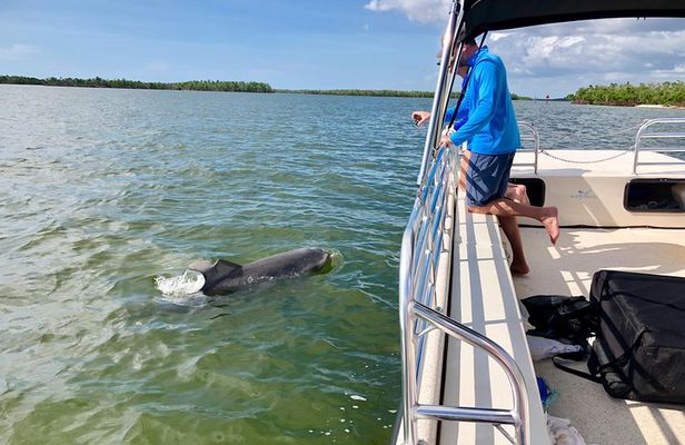 Dolphin and Shelling Cruise for up to 12 people