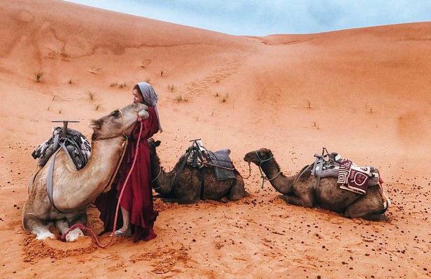 Fes to Marrakech 4 days desert tours