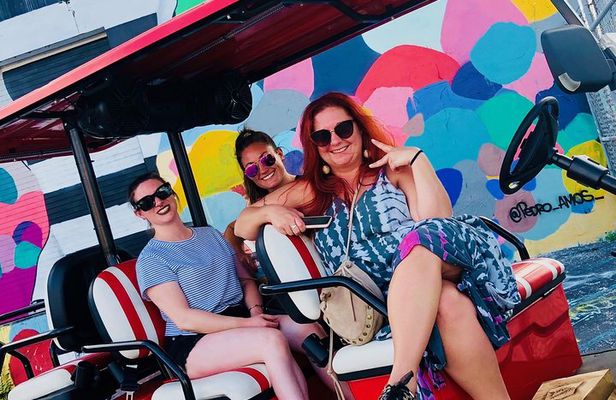 1 Hour WYNWOOD BUGGIES tour