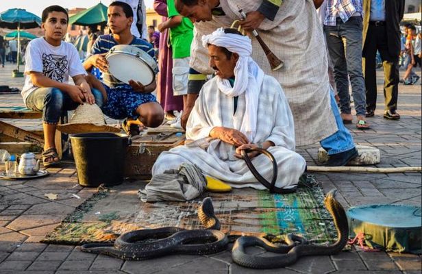 Half-Day Guided Tour: Monuments and Souks of Marrakech