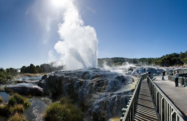 Private Full-Day Rotorua Tour from Auckland