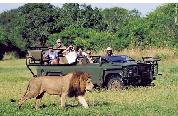 Pilanesberg full day safari private