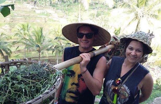 Full-Day Ubud Village including Mt Batur Tirta Empul and Sightseeing Tour