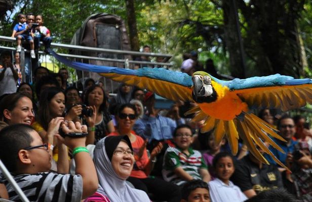 Kuala Lumpur Garden, Park and Museum Tour with Lunch