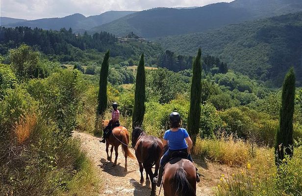 Horse Riding in Tuscany for Experienced Riders: Full-day Trail Ride