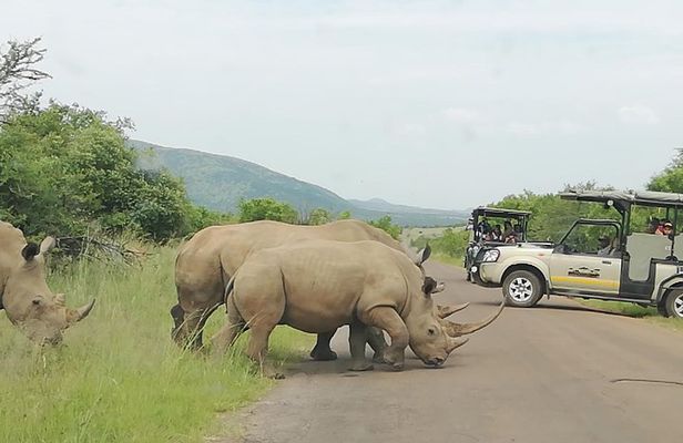 One day Kruger National Park tour Private