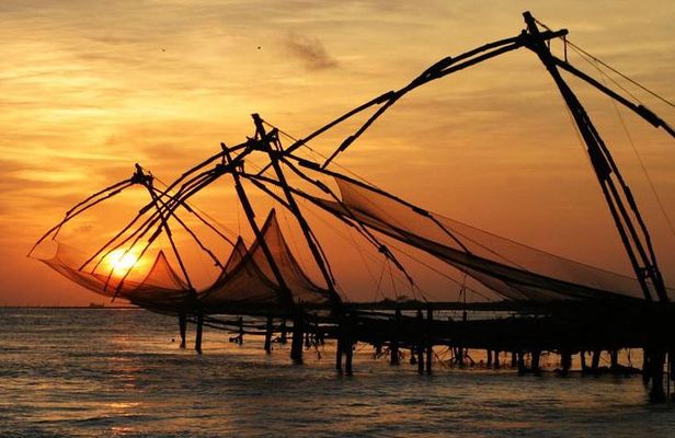 Cochin Shore Excursions from Cruise Terminal