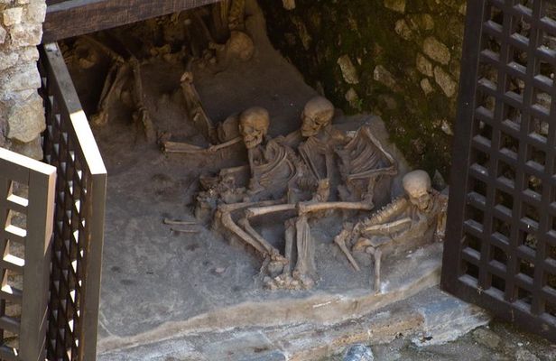 Private Tour: Day Trip Excursion to Herculaneum, Positano and Sorrento
