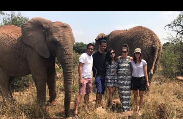 Elephant Walk Guided Tour from Johannesburg 