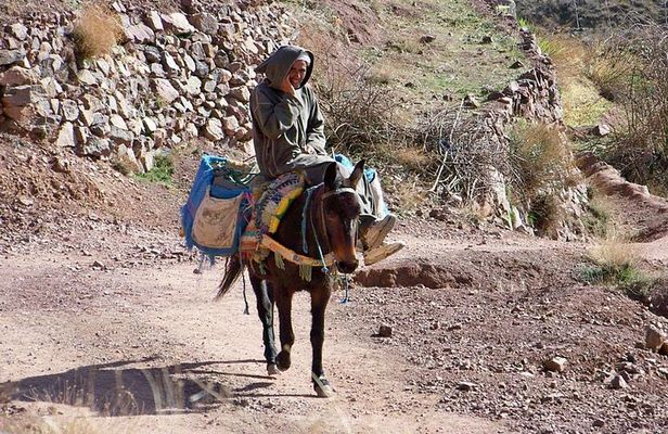 Day tour in high Atlas mountains