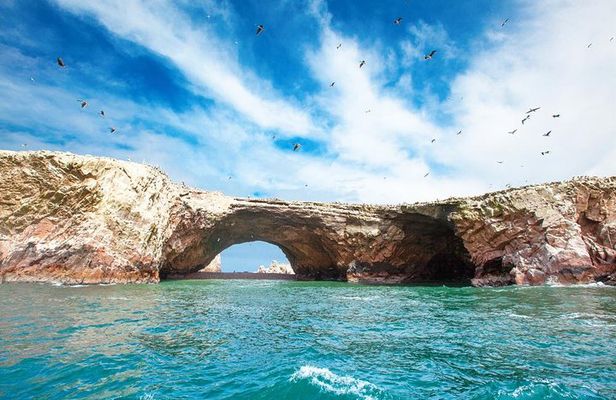 Ballestas and Paracas from Lima by bus