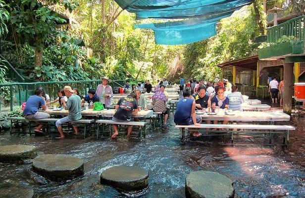 Villa Escudero Tour with Lunch From Manila (SHARED)