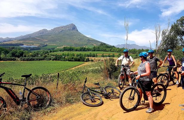 E-Bike Stellenbosch to Franschhoek