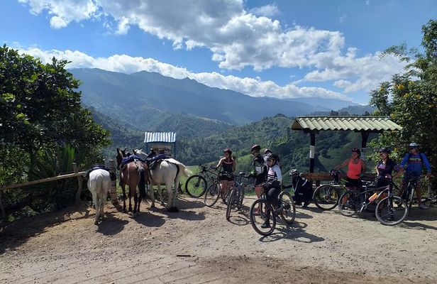 Bike expedition La Vuelta al Quindio Colombia Coffee region
