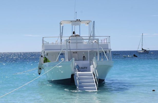 Barbados Turtle and Shipwreck Snorkel Adventure