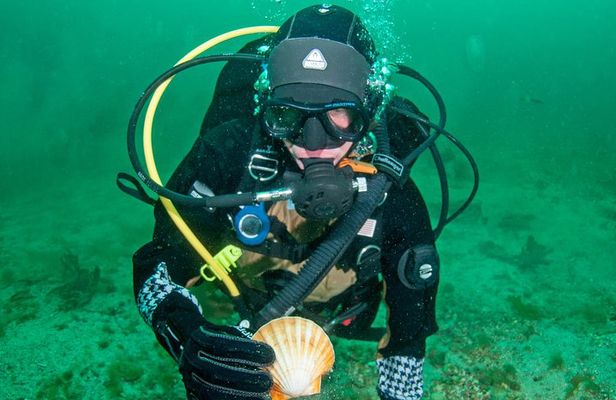 First Time Diver Scuba Experience