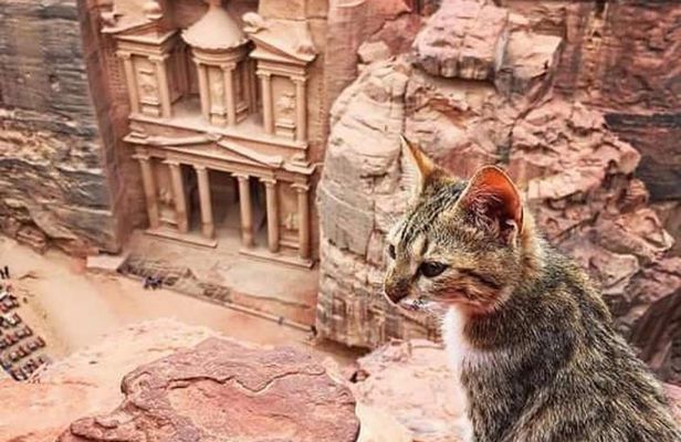 Jordan Family Holiday