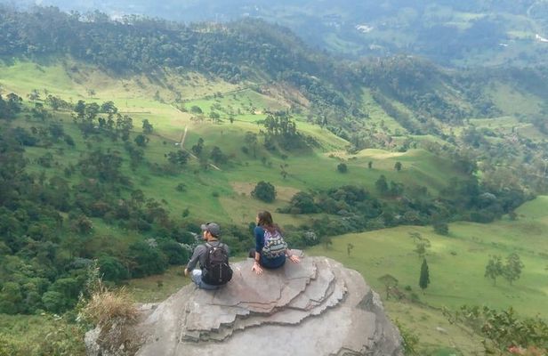 Hiking High Andean Forests