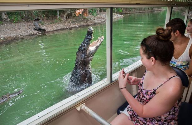 Hartley's Crocodile Adventures Day Trip from Cairns