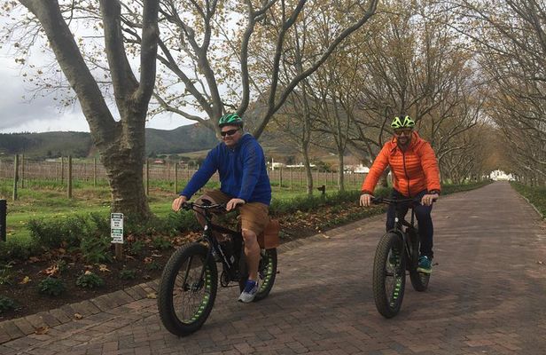 E-Bike Wine Tour Stellenbosch (Half Day)