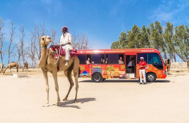Full-Day Bahrain Guided Tour