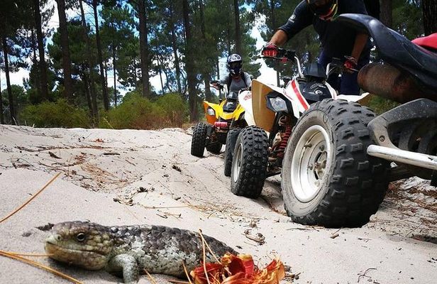 1 Hour Quad Bike Tours, only 30 minutes from Perth
