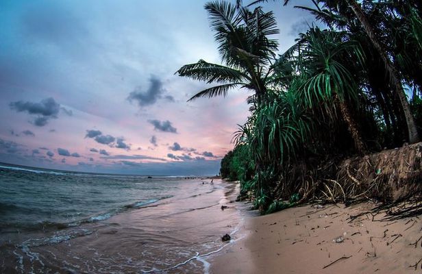 Sri Lanka Beach Best Tour Of 11 Days