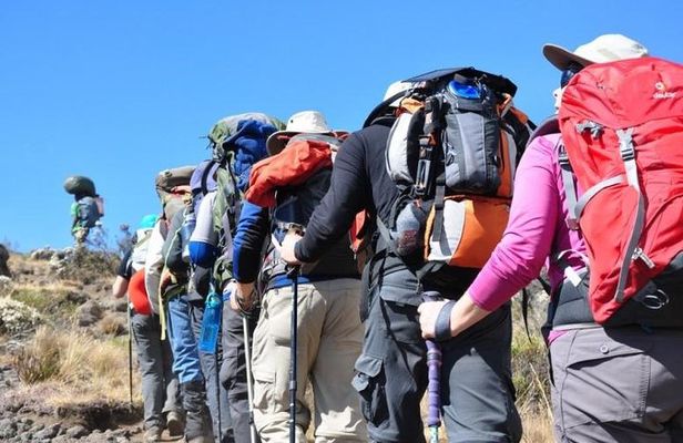 Mt.Kilimanjaro Short Trek Safari