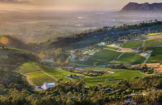 Full day Cape Point + Constantia Wine Tour with Private Transfer