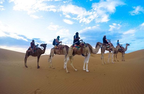 Zagora Desert Tour 2 days 1 night from Marrakech