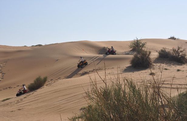 Dubai Desert Afternoon Quad Safari with Camel Ride, BBQ Dinner and Belly Dancing