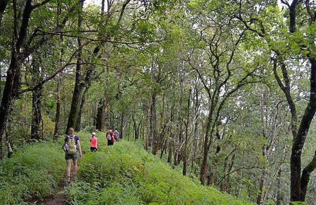 High Mountain Day Trek