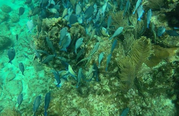 Roatan Jet Ski with Snorkel and Beach