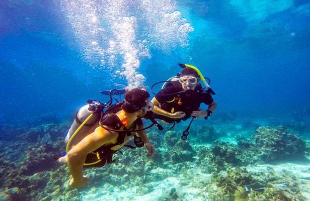 Roatan Scuba Shore Diving plus Transportation