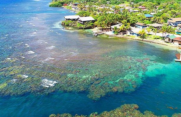 Roatan Shore Diving Experience, Island Lunch & Transportation