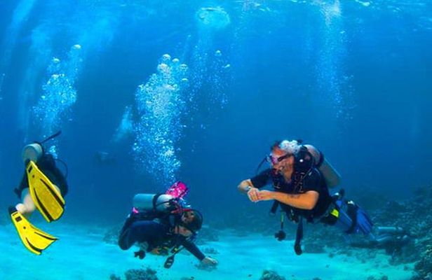 Roatan Reactive-Refresher Dive Course