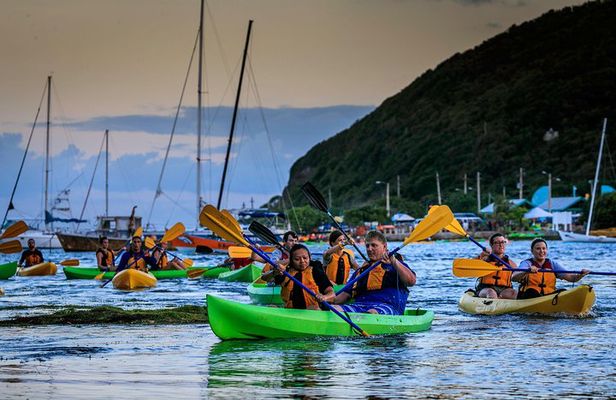Full-Day Tour: El Yunque, Luquillo Beach, Bio Bay Night Kayaking