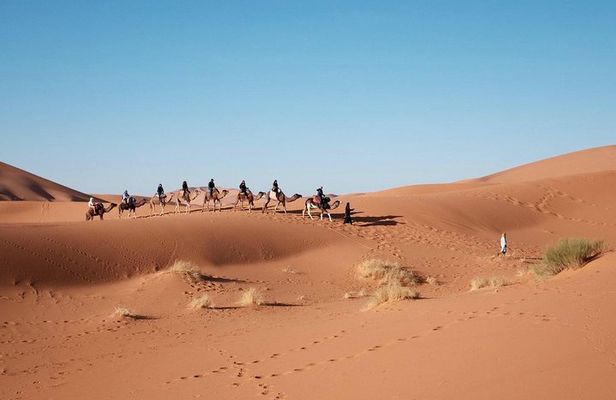 Camel Riding In Dubai Desert