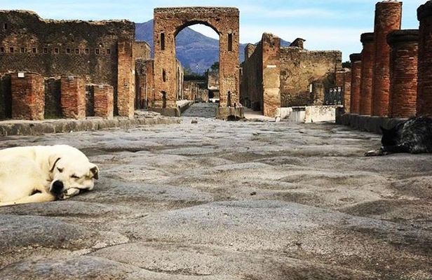  Pompeii Private Tour with Expert Guide 