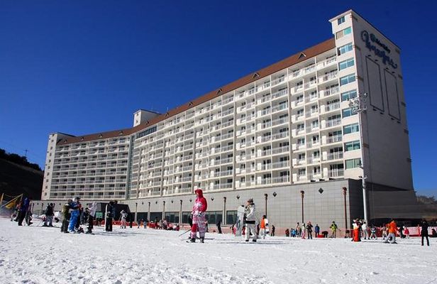 Eden Valley Resort Winter Ski Snowboard Sled Day Tour from Busan