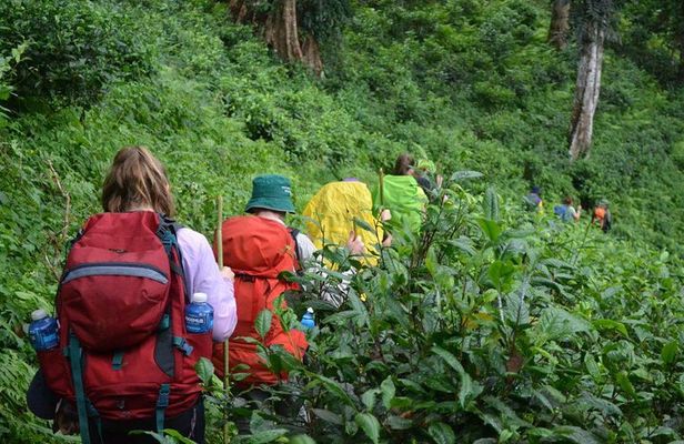 3-Day Chiang Dao Mountain Trek