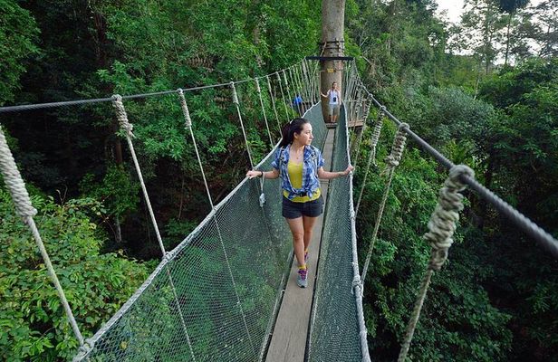 Kinabalu Park & Poring Hot Springs Tour with Desa Dairy Farm