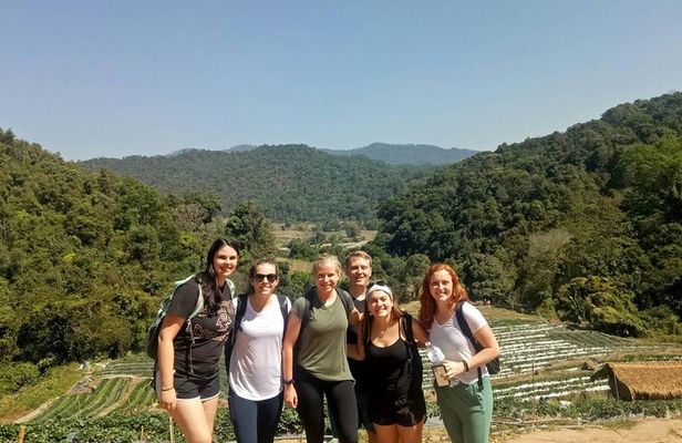 Doi Inthanon Private Tour with Trek & Lunch from Chiang Mai