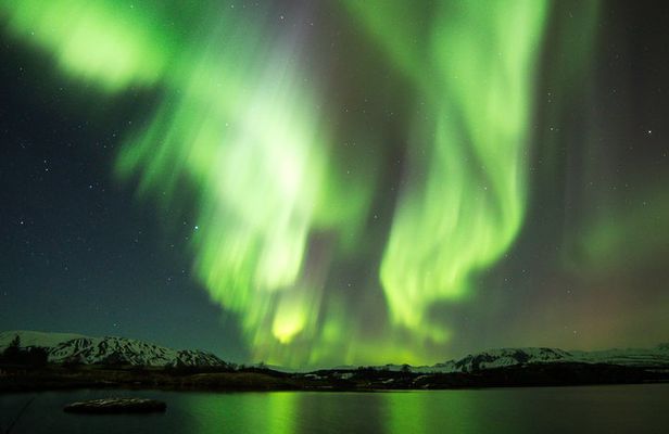 Whale Watching and Northern Lights Half-Day Combo Tour