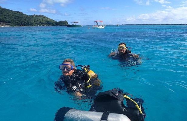 Combo Diving and Snorkeling Full Day Tour