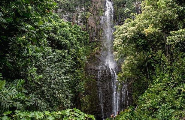 Private Hana Waterfalls Tour