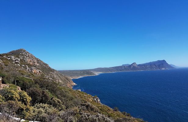 Private Cape Peninsula Tour - Cape Point, Cape of Good Hope sightseeing