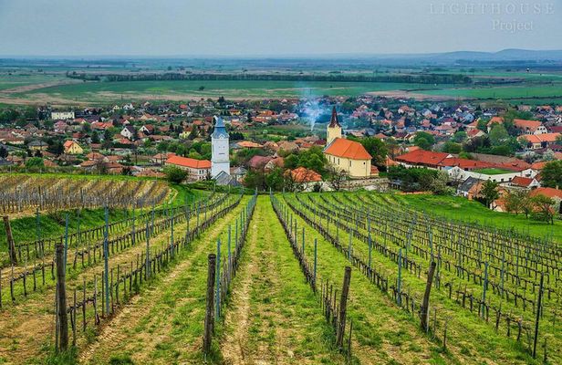 Tokaj Full Day Private Wine Tour from Budapest